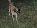 dscn0397